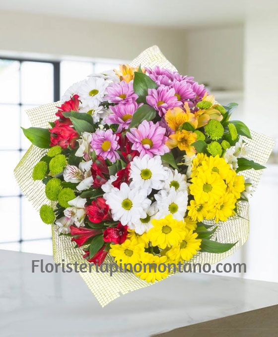 Ramo de flores de margaritas