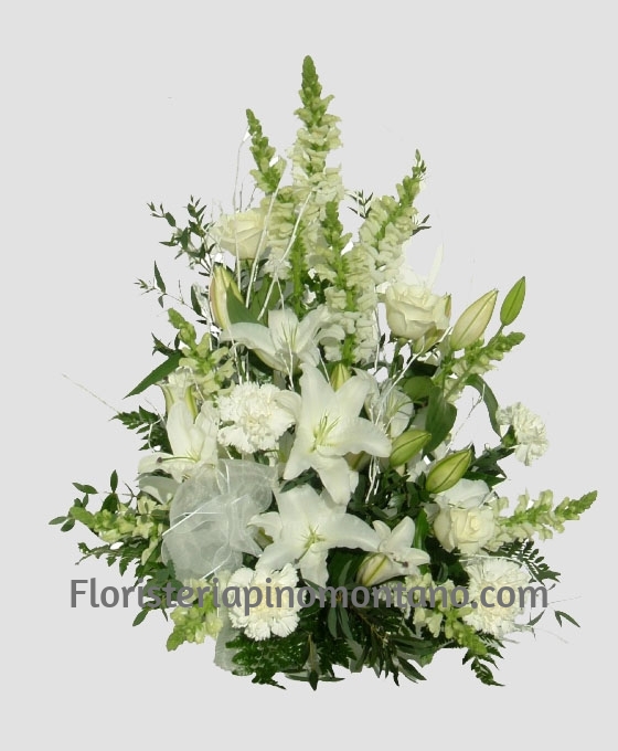 Centro funerario Básico