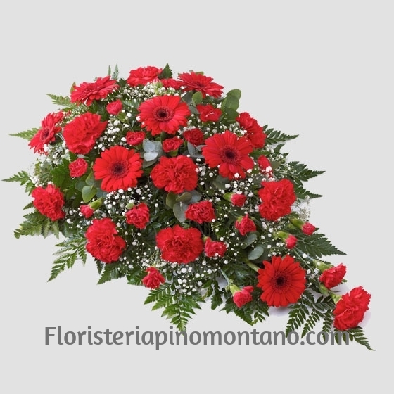 Centro Funerario Rojos