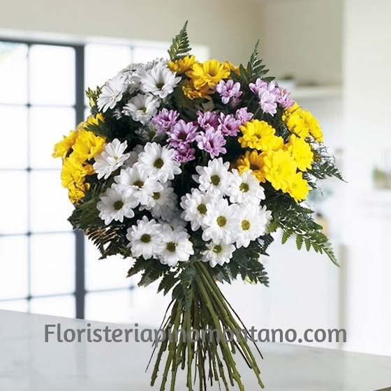 Ramo de margaritas