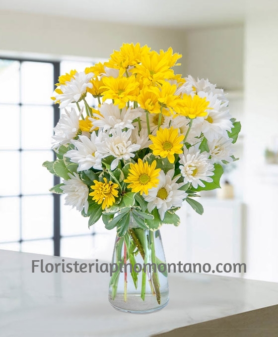 Ramo de margaritas