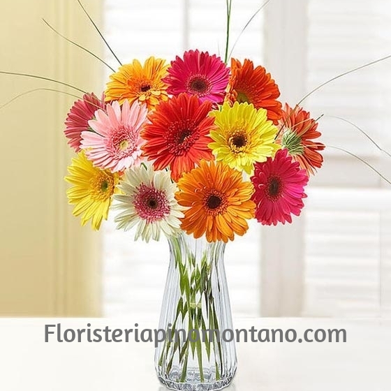 Ramo de Gerberas Variadas para regalar