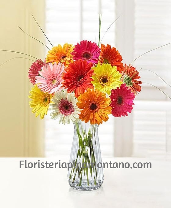 Ramo de Gerberas Variadas para regalar