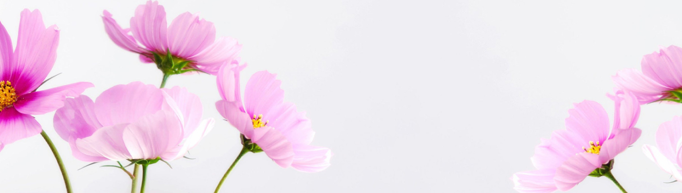 Envíos Urgentes de Flores